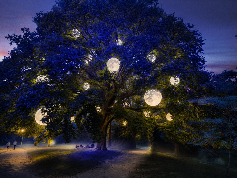 Des sphères lumineuses comme des lunes suspendues dans les branches d’un grand arbre
